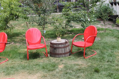 The beautiful backyard at Bang Bang Pie Shop