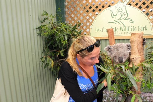 Lunch at the eucalyptus tree? Cool, meet you there.