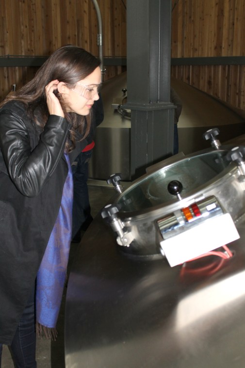 Not for lack of looking!